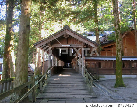 諏訪大社本社的布橋出口（長野縣諏訪市） 8753427