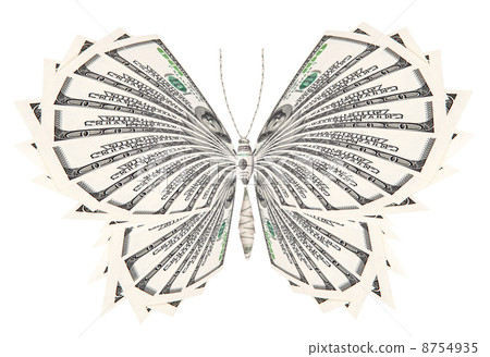 concept of successful butterfly  8754935