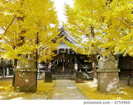 Kanemura另一個雷神社 8754969