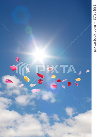 A petal dancing in the blue sky 8755681