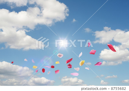 A petal dancing in the blue sky 8755682
