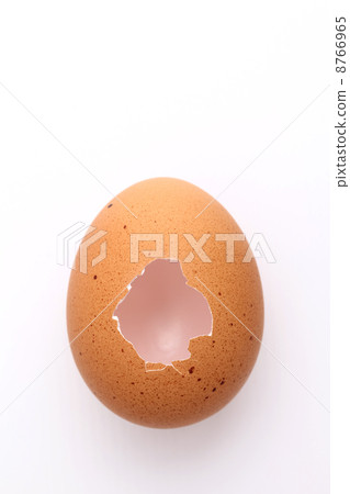 Egg shell  8766965