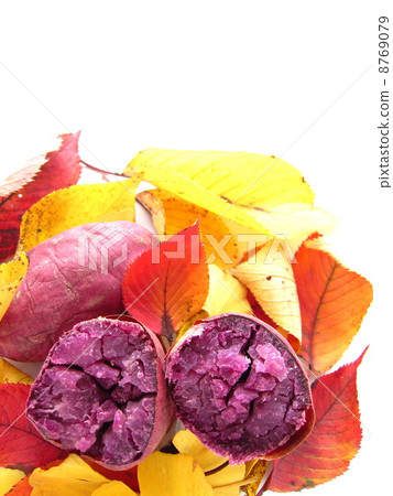 秋天的味道美味的紅薯紅薯和落葉 8769079