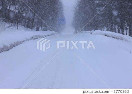 冬天雪的圖像 8770853
