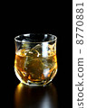 on the rocks 8770881