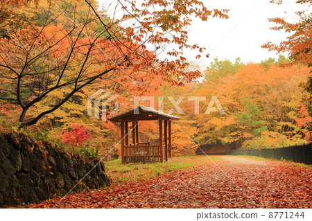 Apt road (near Usui Pass Railway Facility Usui Lake) 8771244
