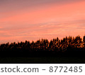 日落 8772485