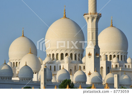 謝赫扎耶德大清真寺 8773059