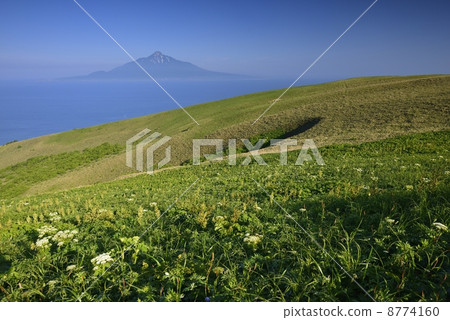 Rishiri Fuji 8774160