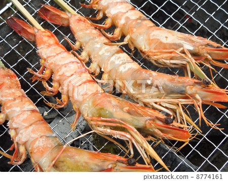 shrimp  8774161