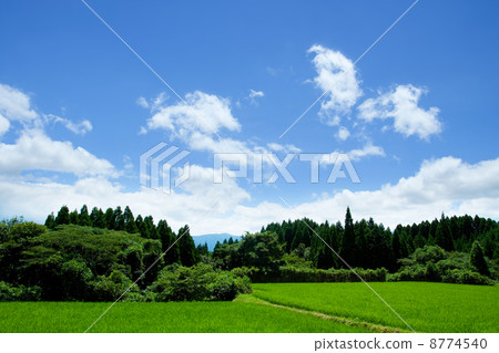 Summer landscape Summer landscape 8774540