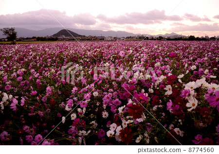 黃昏的宇宙場_ Keiji Fujiwara 8774560