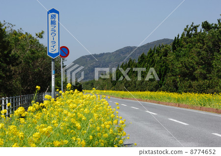 博索花線 8774652