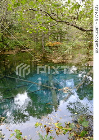 God's Pond God's Pond 8774835