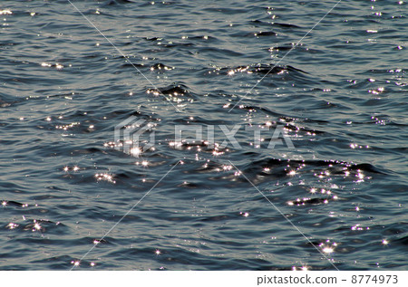 Shining water surface Shining water surface 8774973