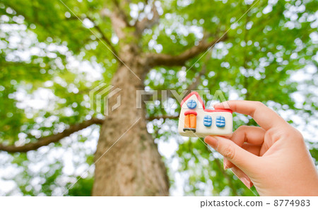 一棵樹和一個小房子 8774983