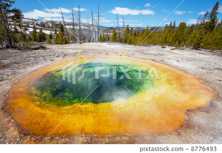 Morning Glory Pool 8776493