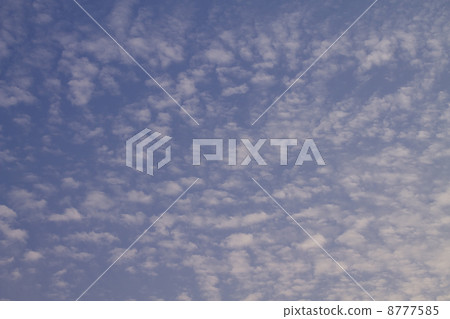 Sardine cloud 8777585
