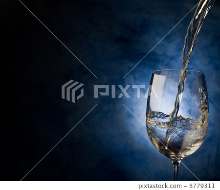 Wine 8779311