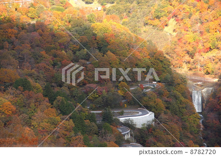 Nikko Iroha Zaka Nikko Iroha Zaka 8782720