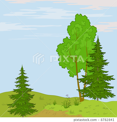 Landscape. Trees on hill 8782841