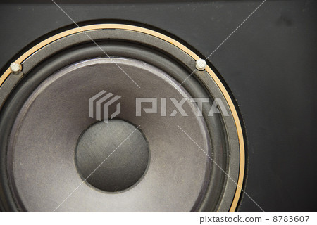 Speaker 8783607