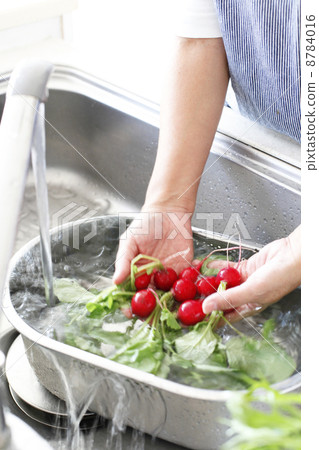 Wash vegetables 8784016