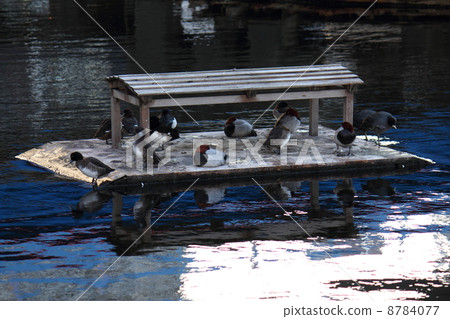 Shibaura 3-chome·Calgamo的安息之地 8784077