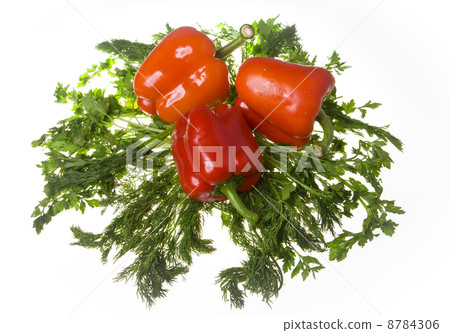 Juicy bulgarian peppers and green of fennel and Parsley Juicy bulgarian peppers and green of fennel and Parsley 8784306