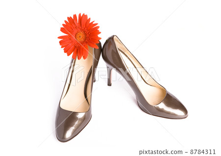 New elegant shoes on high heel New elegant shoes on high heel 8784311