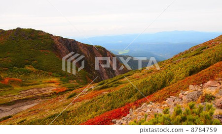 landscape, scenery, maple 8784759