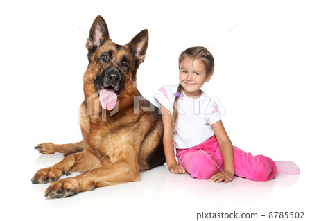 Young girl and German shepherd dog 8785502