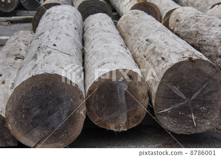 Wood 03 Wood 03 8786001