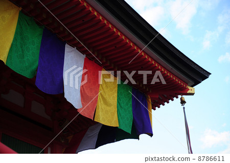 Nakayama-ji Tower 8786611