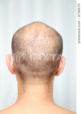 Light hair Light hair 8786670
