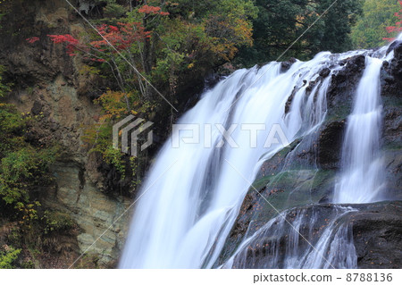 秋天的龍門瀑布（栃木縣） 8788136