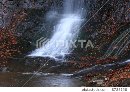 秋天的龍門瀑布（栃木縣） 8788138