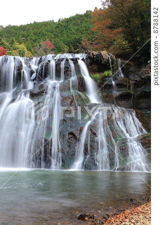 Autumn's Longmen Falls (Tochigi Prefecture) 8788142
