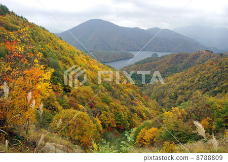 湖線風光 8788809