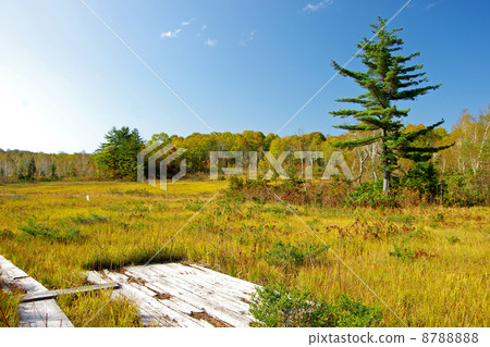 Komadoshitsugen Komadoshitsugen 8788888