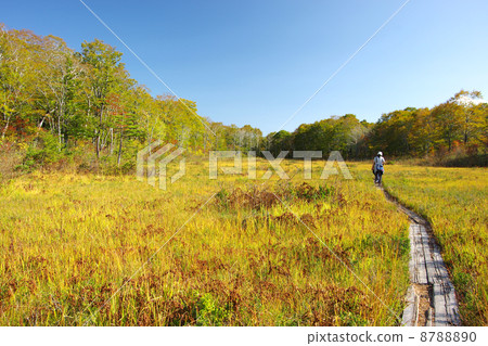 Komadoshitsugen 8788890