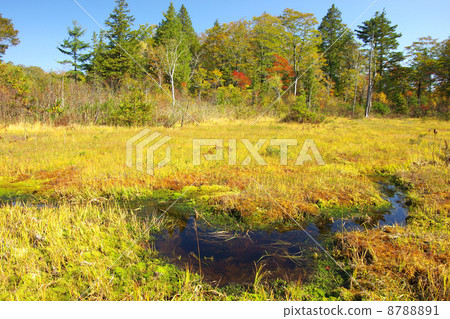 Komadoshitsugen 8788891