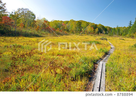 Komadoshitsugen 8788894