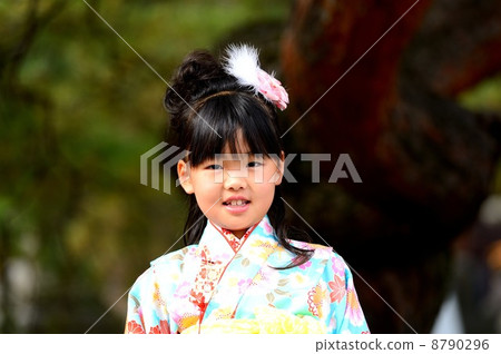 Shichigosan 8790296