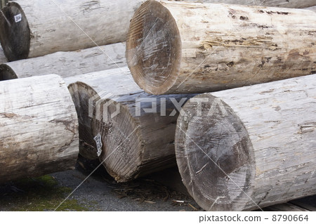 木材儲存場所 木材儲存場所 8790664