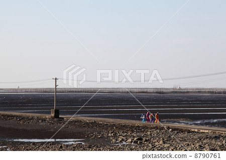 Hatota Sea Floor Road 8790761