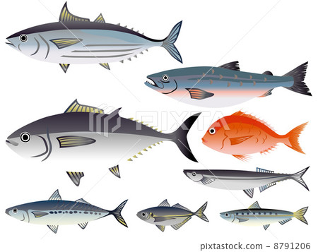 Fish _ white 8791206