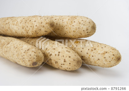 Tororo土豆 8791266