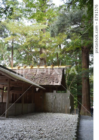 伊勢神社寧諾風大風天祈禱 8791576