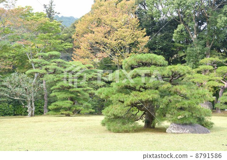 伊勢神社Nakgyu Shinen 8791586